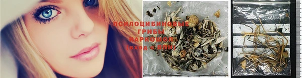 дурь Нязепетровск
