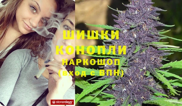 MDMA Новодвинск