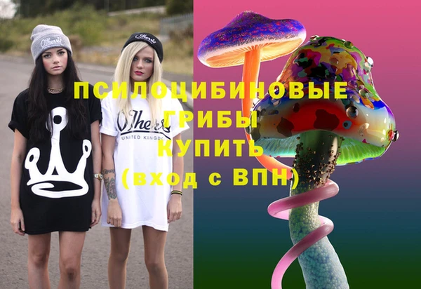 дурь Нязепетровск