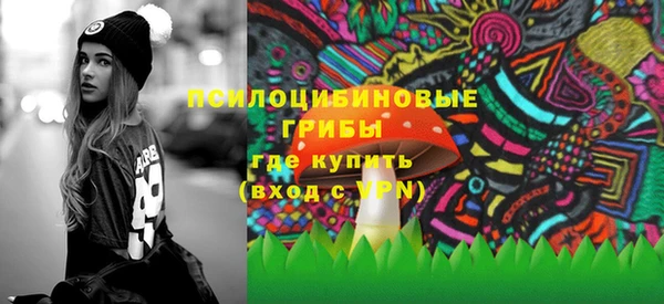 ешки Няндома