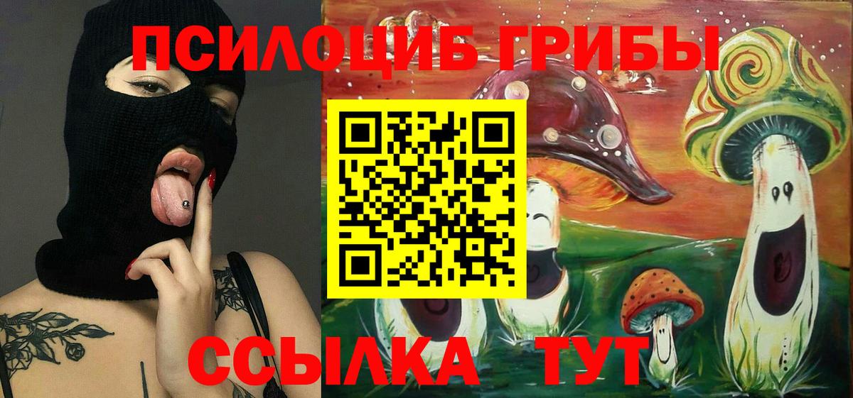 Галлюциногенные грибы Cubensis  Вход с VPN  Мичуринск 