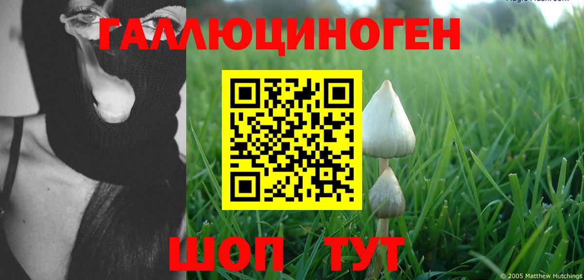 Галлюциногенные грибы прущие грибы Мичуринск