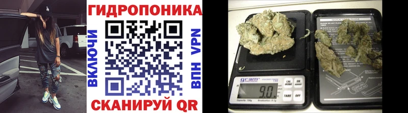 Шишки марихуана ГИДРОПОН Мичуринск