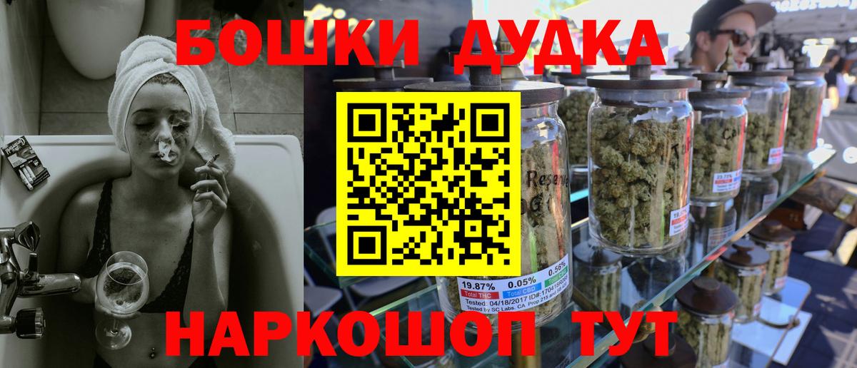 A PVP Мичуринск